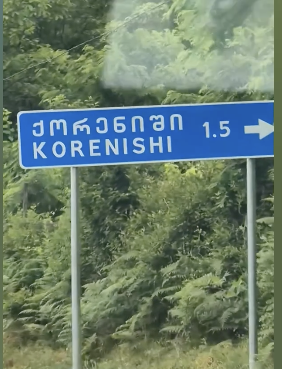 “გავგიჟდით, გადავირიეთ, ეს რა იყო….” – რა ჩანს კადრებში, რომლებიც მოქალაქემ დააფიქსირა?