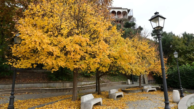 „-2, -3 გრადუსი ყინვა…“ – ოქტომბრის ამინდის პროგნოზი საქართველოში